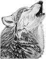 Del Valle