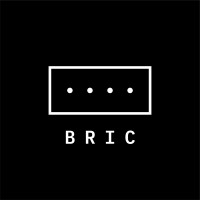 BRIC Logo