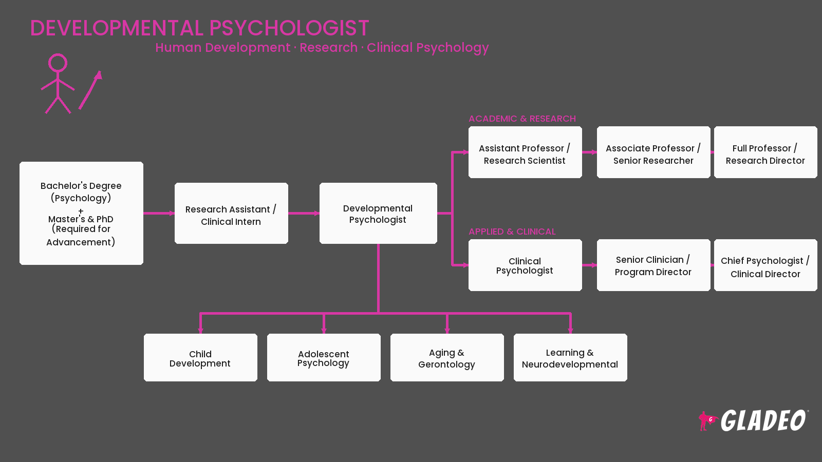 Developmental Psychologist