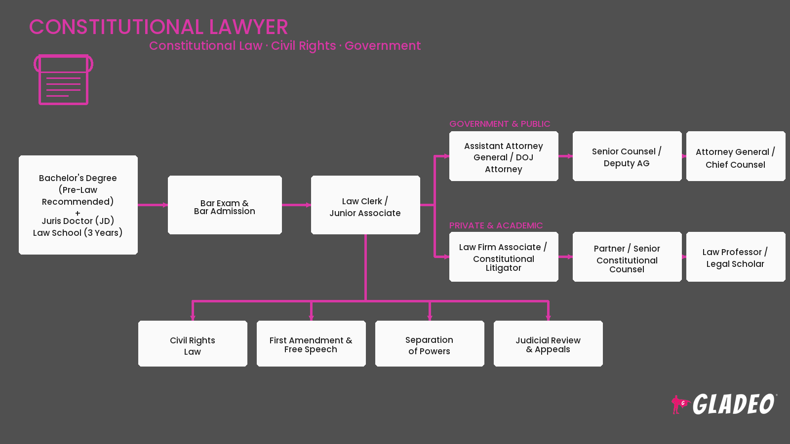 Constitutional Lawyer