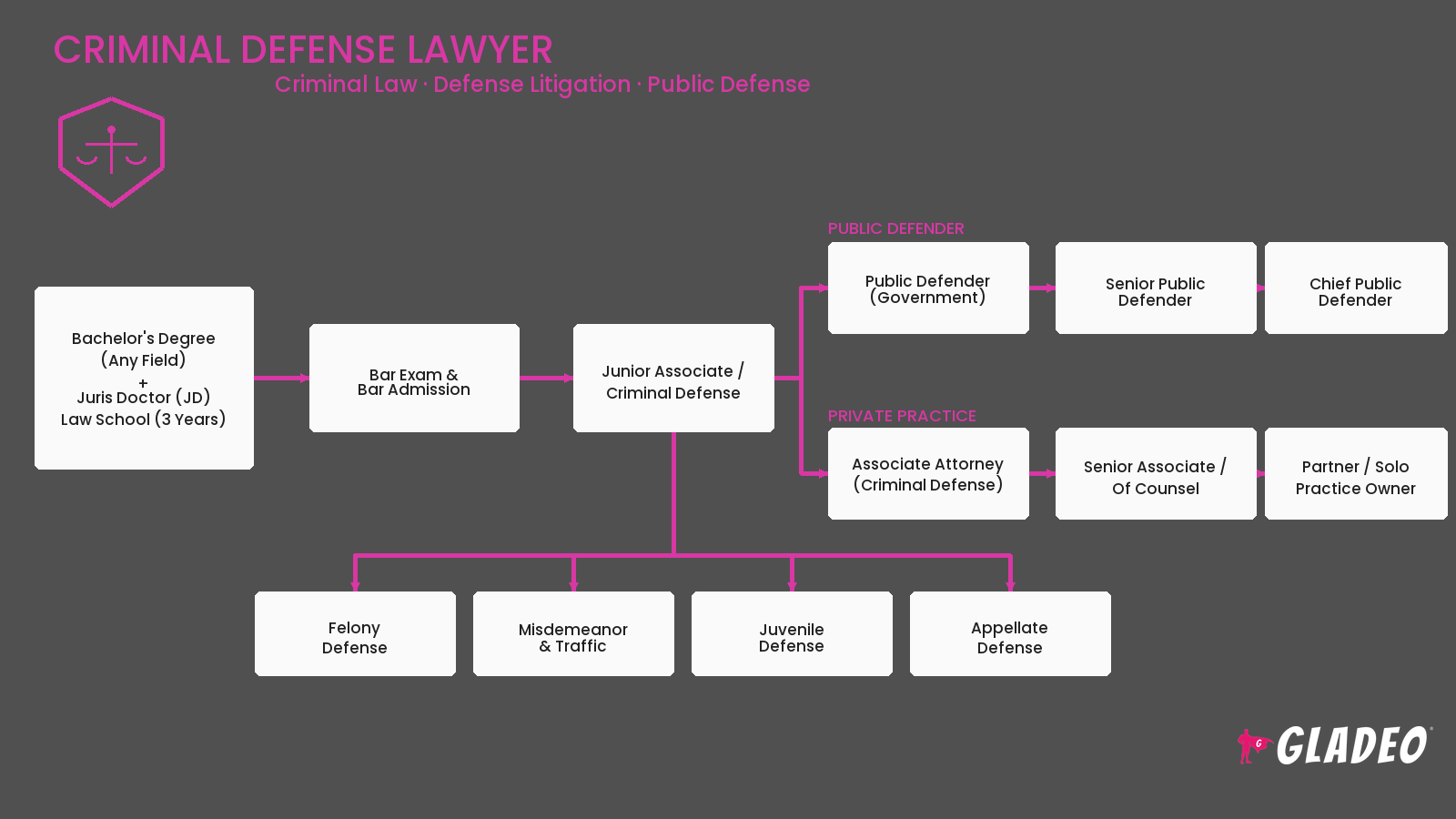 Criminal Defense Lawyer